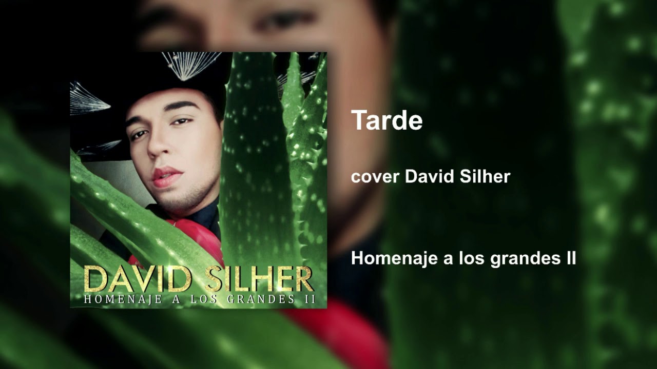 Rocío Dúrcal - Tarde cover David Silher