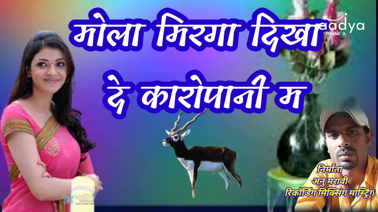 Mola mirga dikha de karopani ma.मोला मिरगा दिखा दे कारोपानी म.cg song अनु मरावी एवं तीजन पटेल।