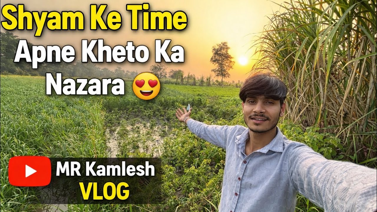 Syam Ke time Apne khetu ka Nazara ☀️￼#farmingvlog #khetibadi #farmer #viralvlogs #vlog gerlife 