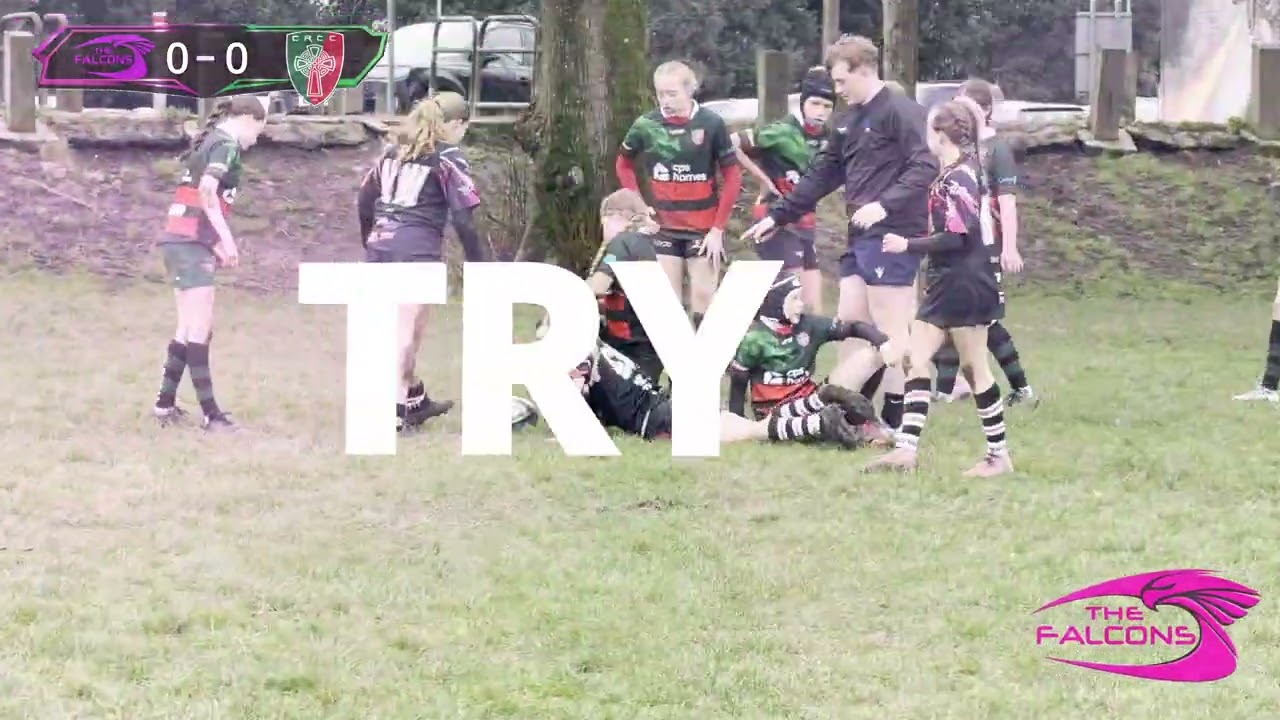 Falcons vs Clwb rygbi