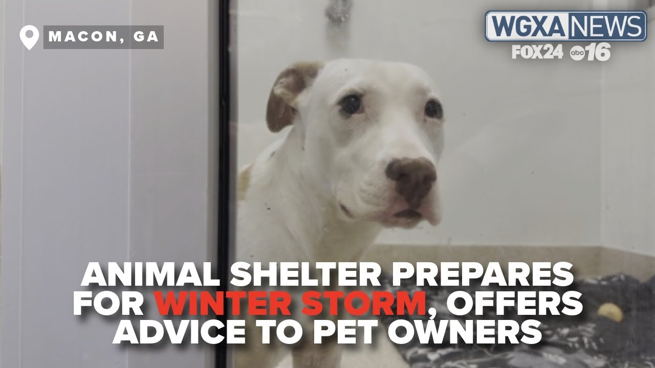 Officials 'don’t want to have to come' for frozen animals, urge pet safety before storm