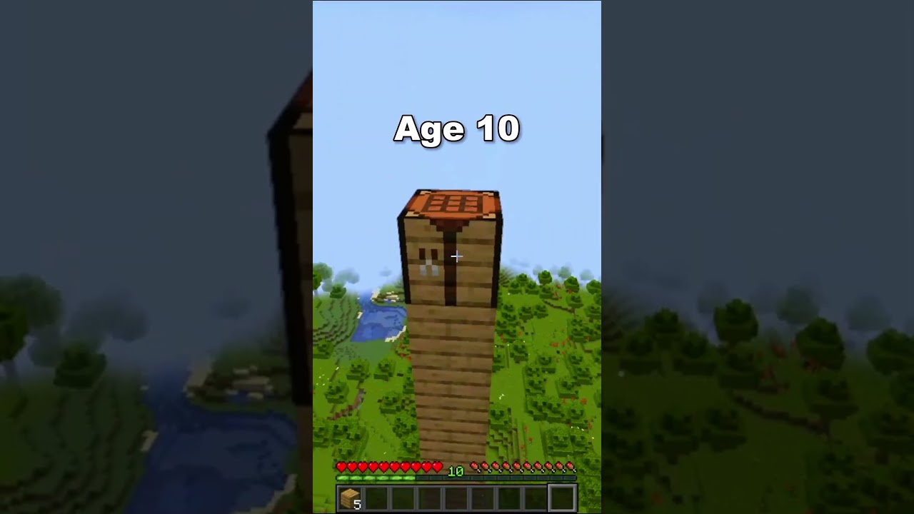 Minecraft Clutch At Different Ages (World's Smallest Violin) | #shorts