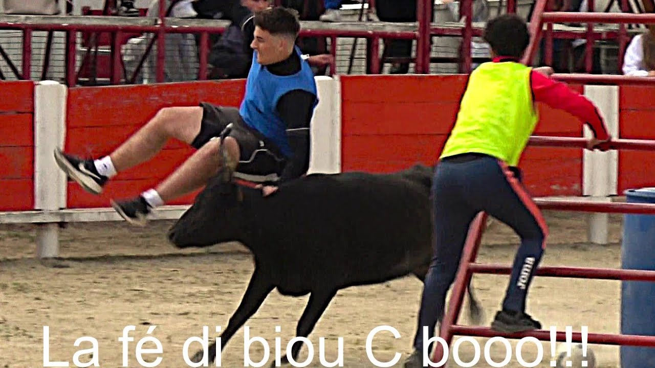 Montbazin ▶course au plan - manade de la Falaque◀ 12.04.2025.