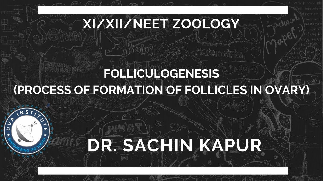Folliculogenesis Class XI/XII/NEET | Zoology | by Dr. Sachin Kapur
