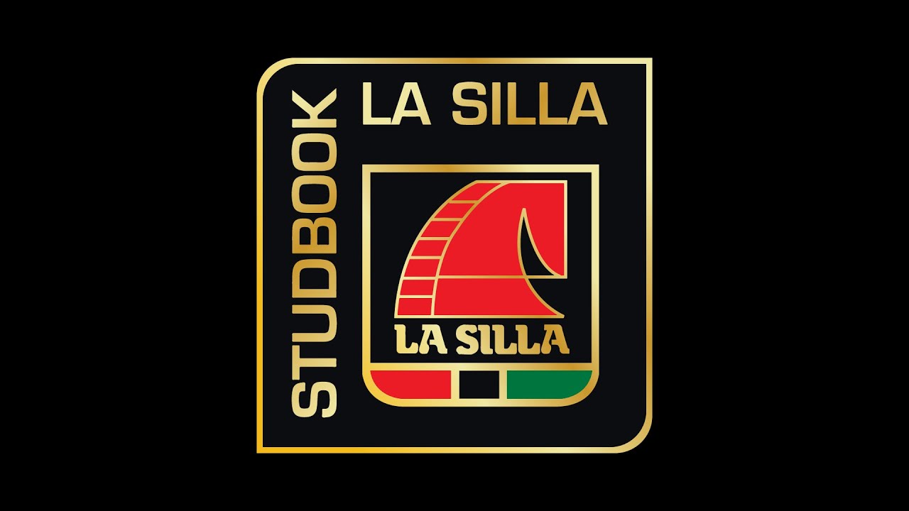 🎯 SUB - STUDBOOK AUCTION LA SILLA GNP  / CSI5*& CSI2* LA SILLA GNP 2025