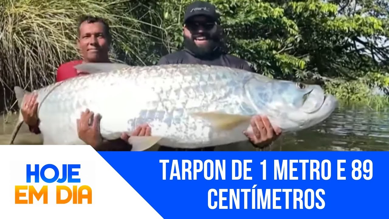 'Bombou nas Redes': Pescador bate recorde nacional e captura peixe de quase dois metros