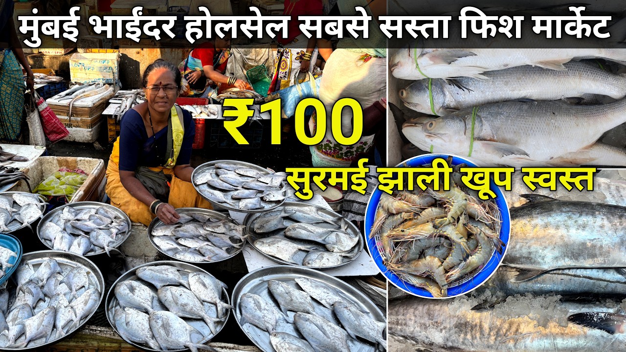 Bhayandar Fish Market Latest Video  Bhayandar Wholesale Fish Market  Wholesale Fish Market In Mumbai