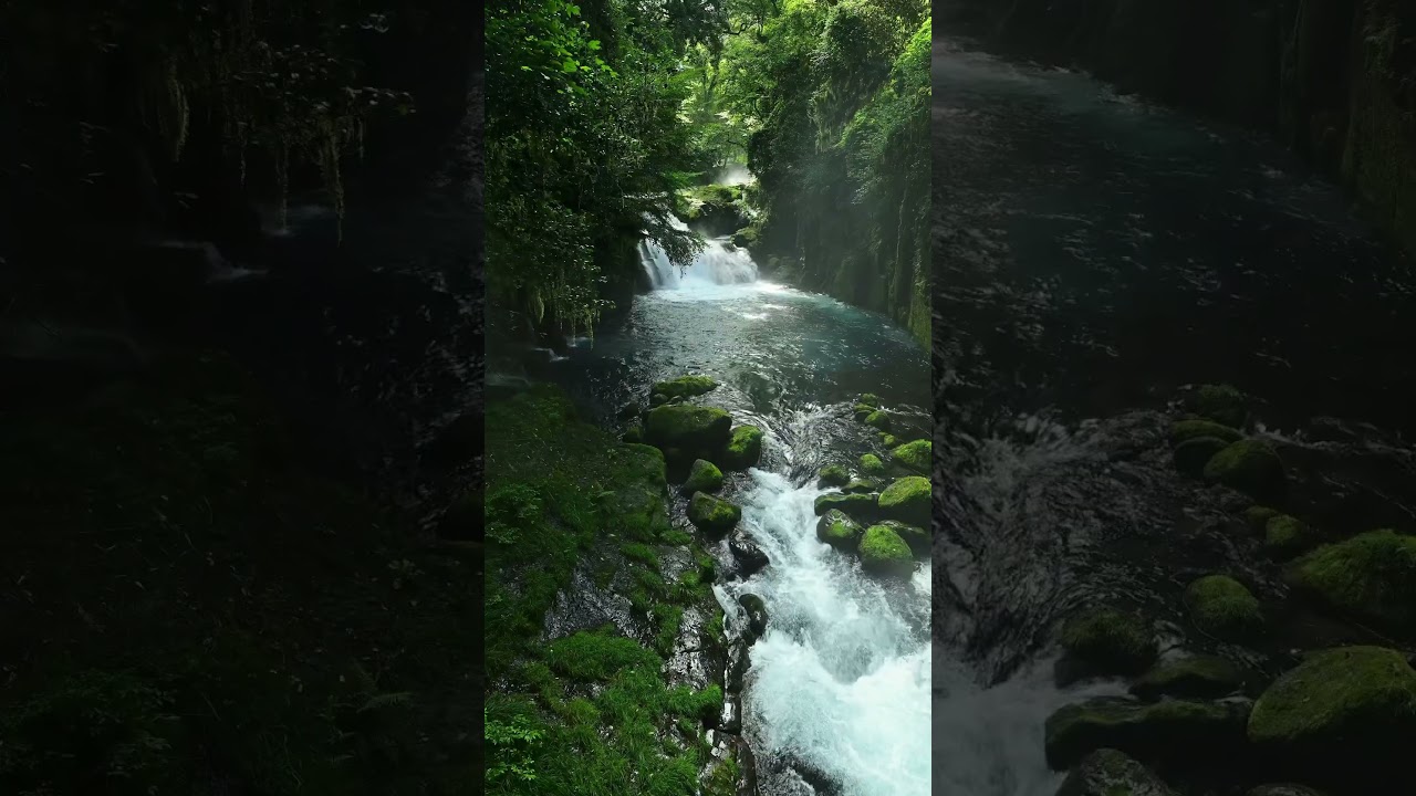 The Most Relaxing Nature Scenes