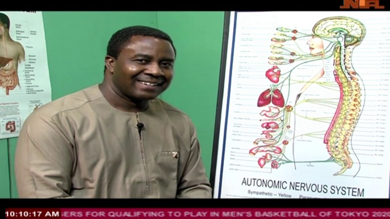 Your Health in Your Hands Episode 32: 9/09/2019