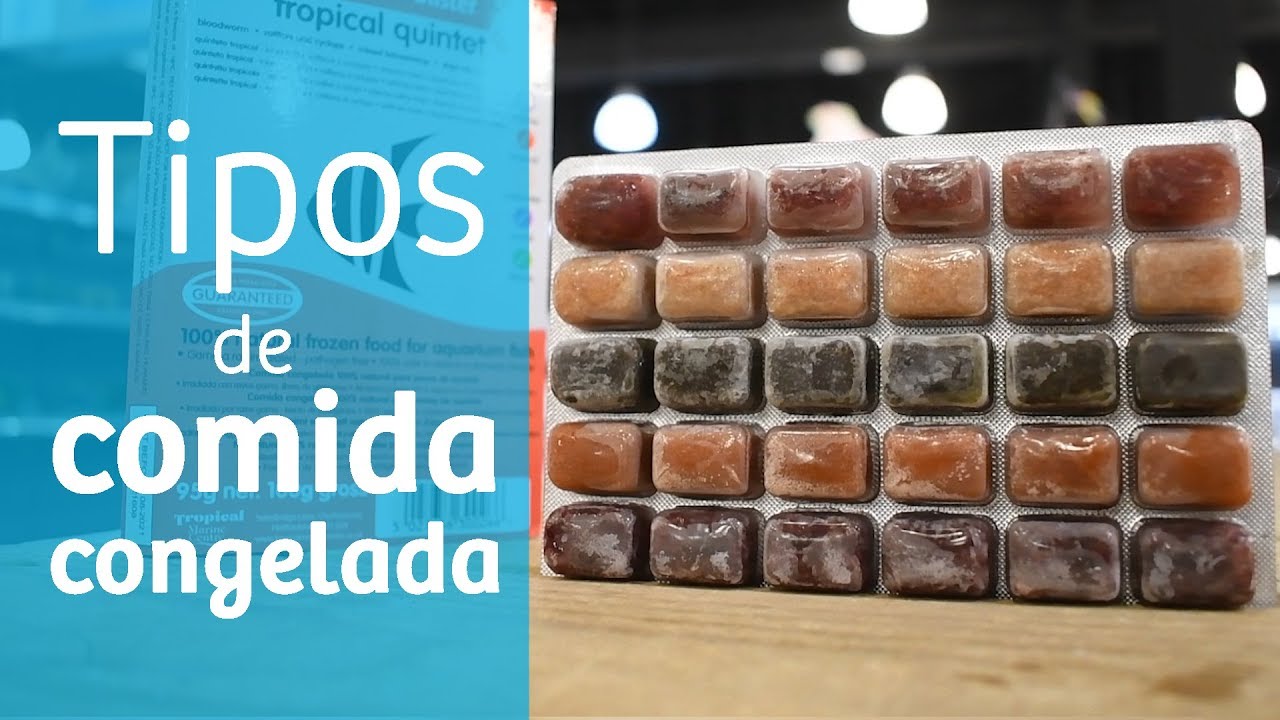 Tipos de comida congelada para peces ❄