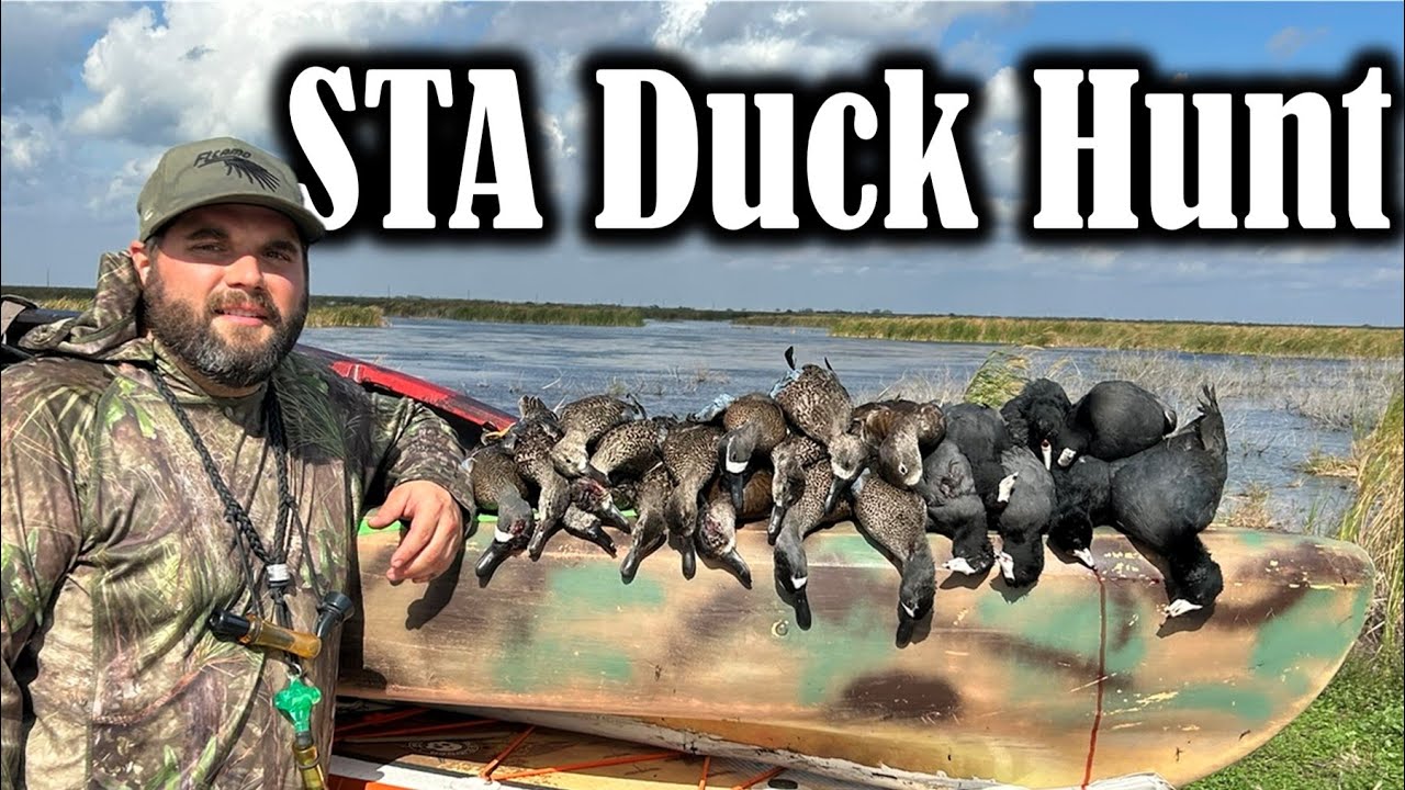 Duck hunting the Everglades Stormwater Treatment Areas