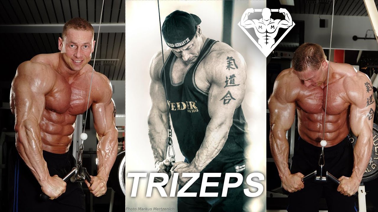 Massiven Trizeps aufbauen, so geht&rsquo;s.. Trizepstraining f&uuml;r Anf&auml;nger & Fortgeschrittene