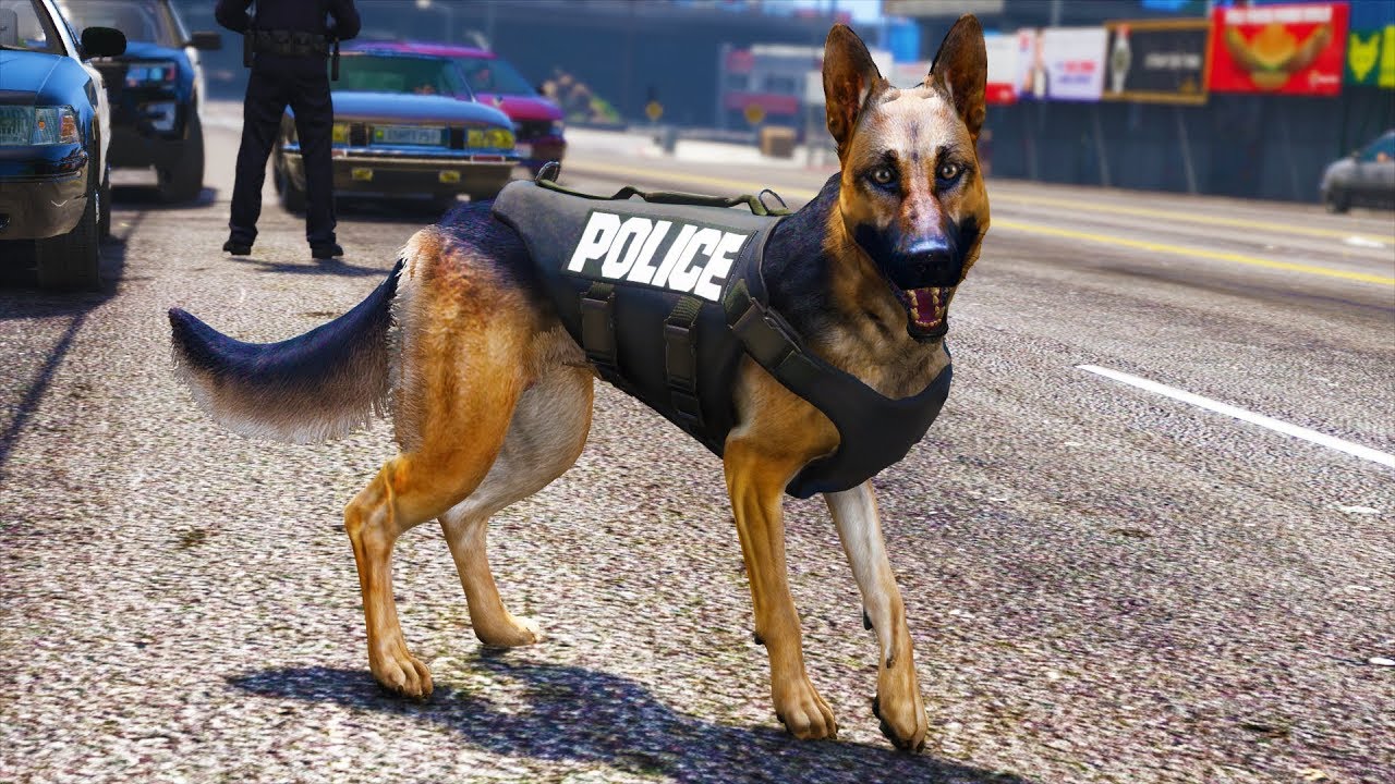 LSPDFR - Day 833 - K9 Body Armor