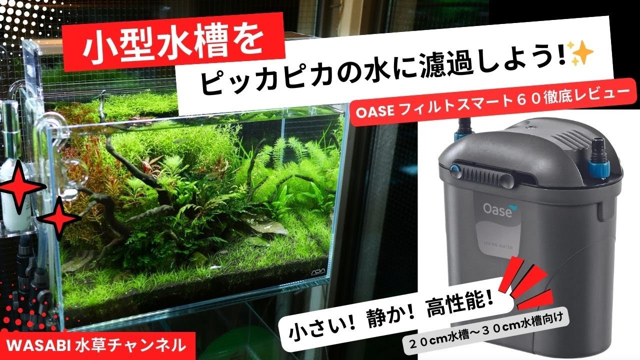 水がピッカピカになる小型濾過器！OASEフィルトスマート６０「横置き可能な小型水槽用外部式フィルター」水草水槽、海水水槽、コケ対策、水草レイアウト、ADA,エーハイム、コトブキ、NISSO、ニッソー