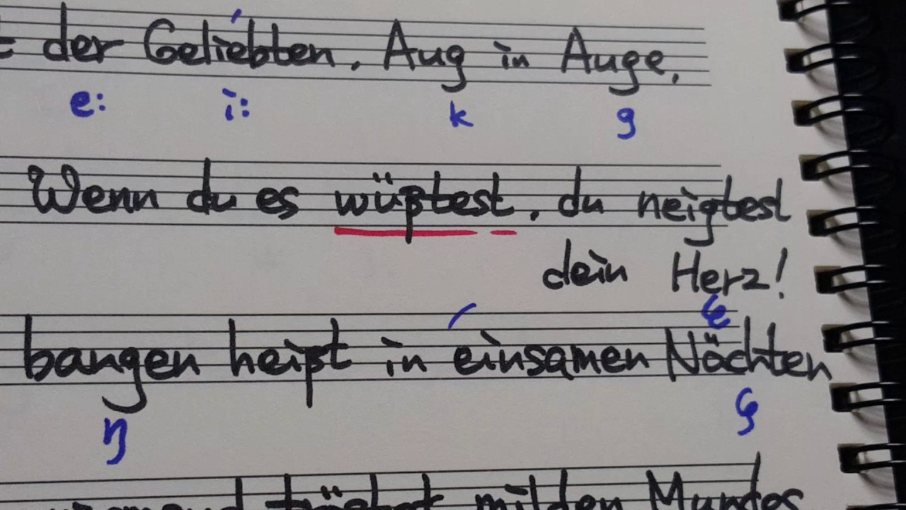 Strauss Caecilie Text Aussprache 슈트라우스 체칠리에 가사발음 명지영