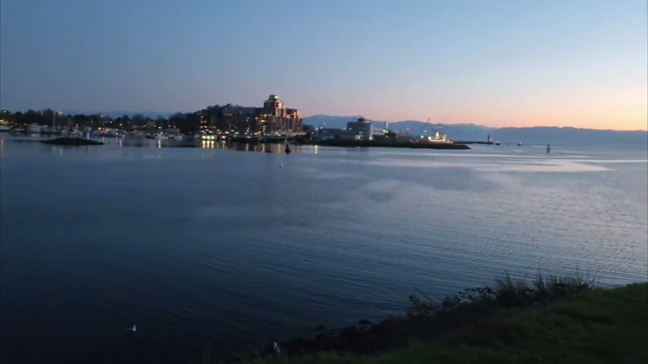 Sunset Ocean Rowing Natural Ocean & Sea Birds Sounds No Filter #4k #Sunset #Relaxing #NaturalSounds