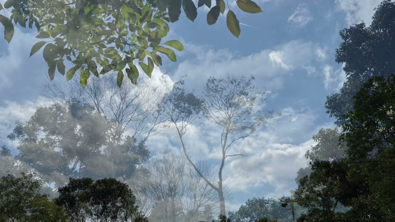 煙雨濛濛想起你