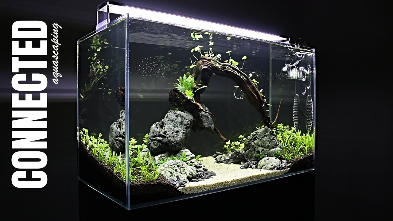 Aquascaping CONNECTED