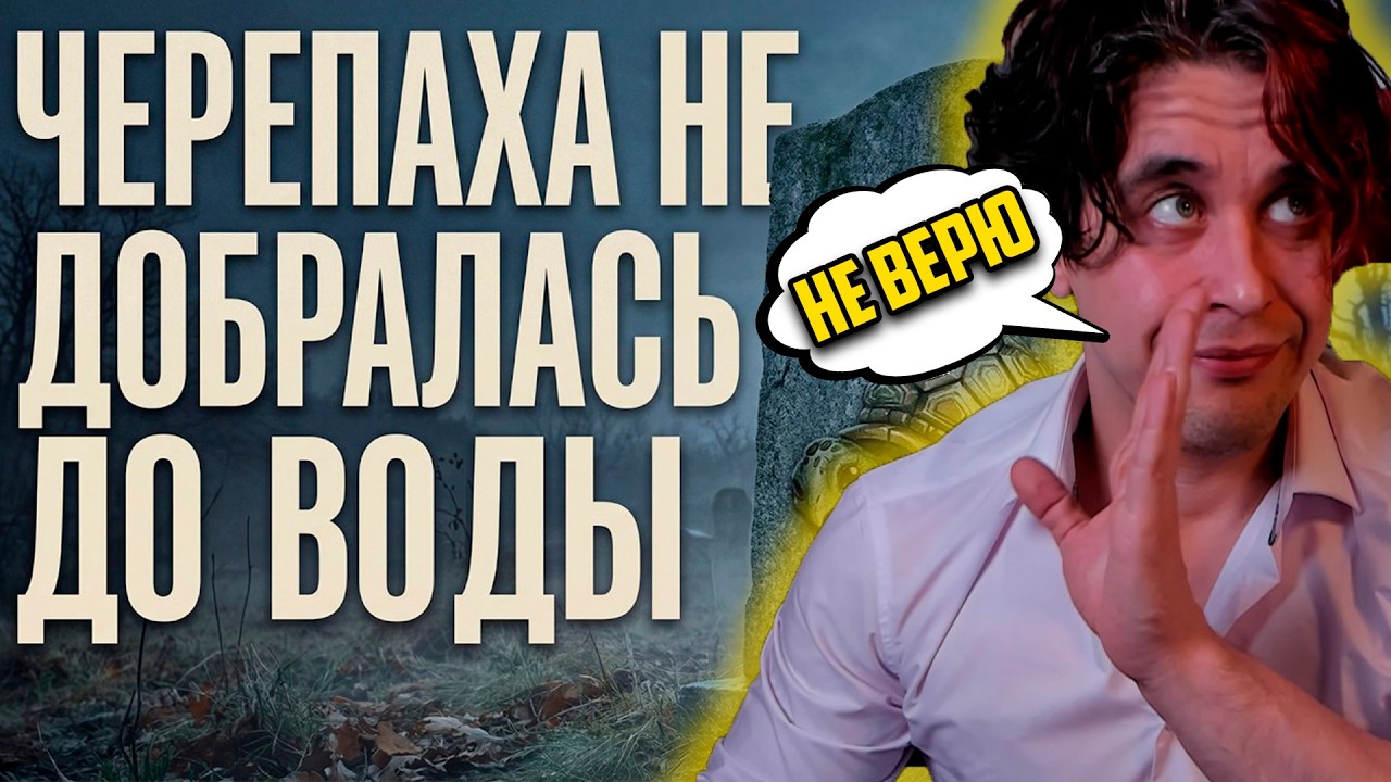 TURTLE WOW ЗАКРЫЛИ! Аморалов реакт