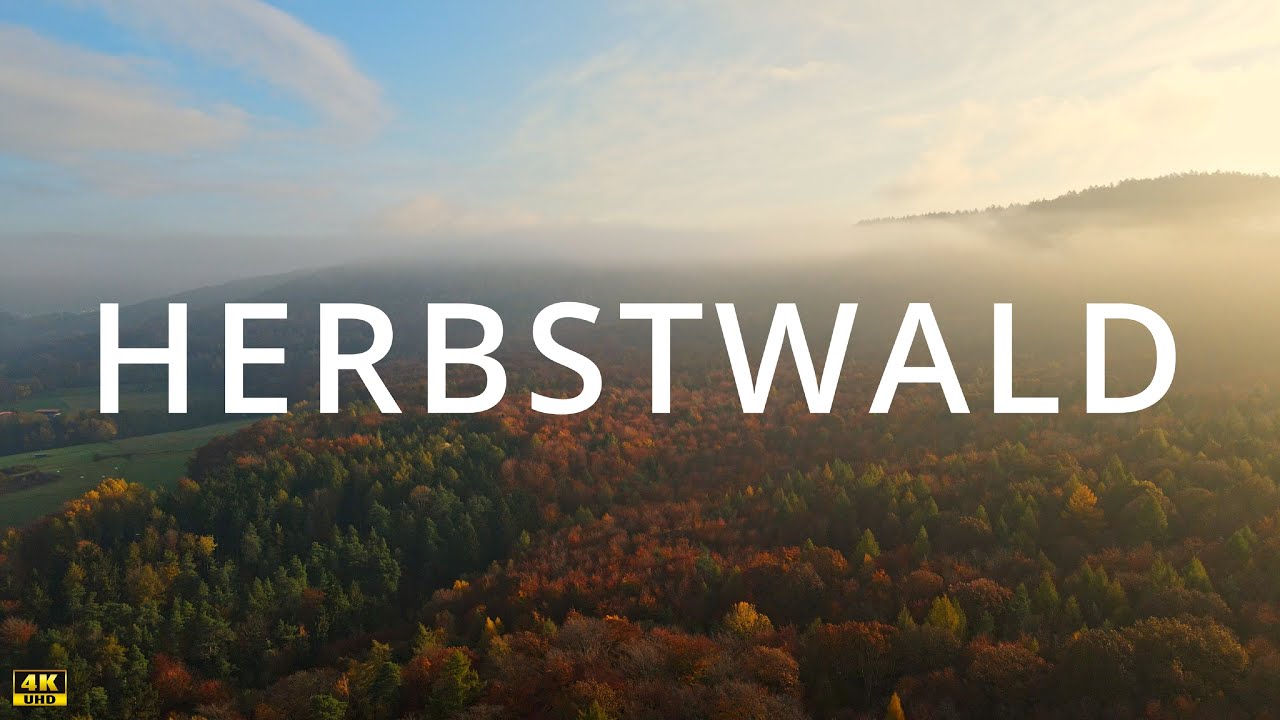 Herbstwald von oben / Aerial Autumn Forest - 4K Drone Video  / Mavic Air 2 autumn foilage
