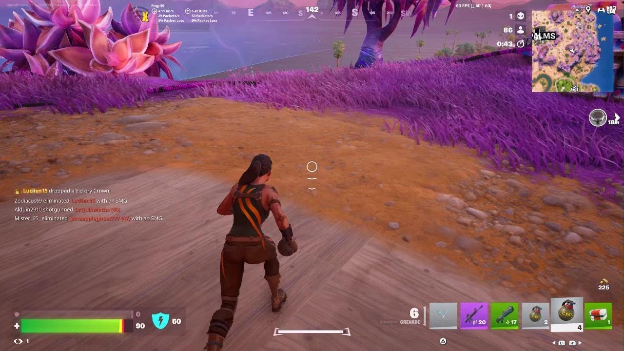 Fortnite victory