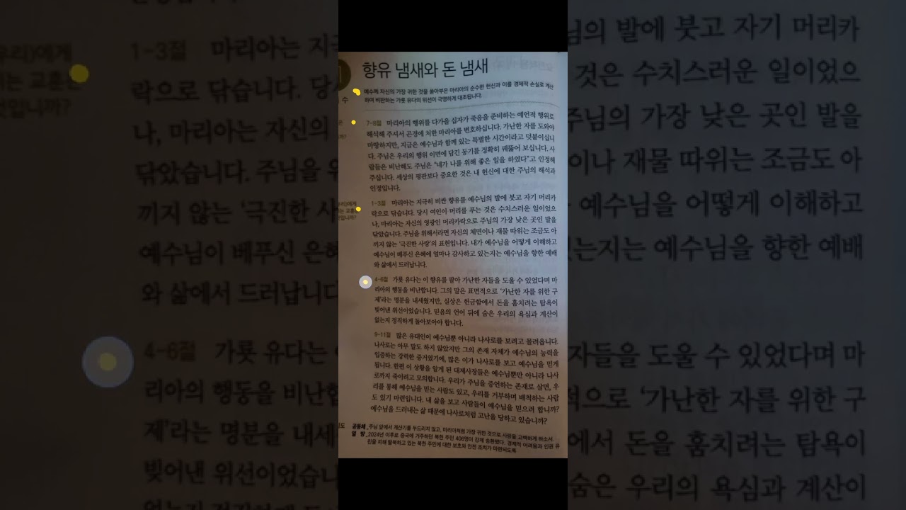 2026년 3월 11일