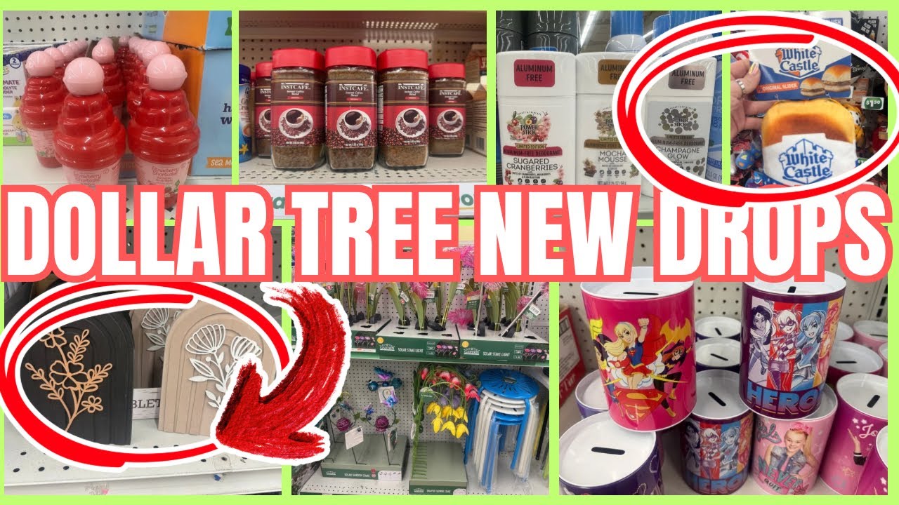 Dollar Tree NEW DROPS Just Hit 🚨 $1.25 - $1.50 Finds You Need!