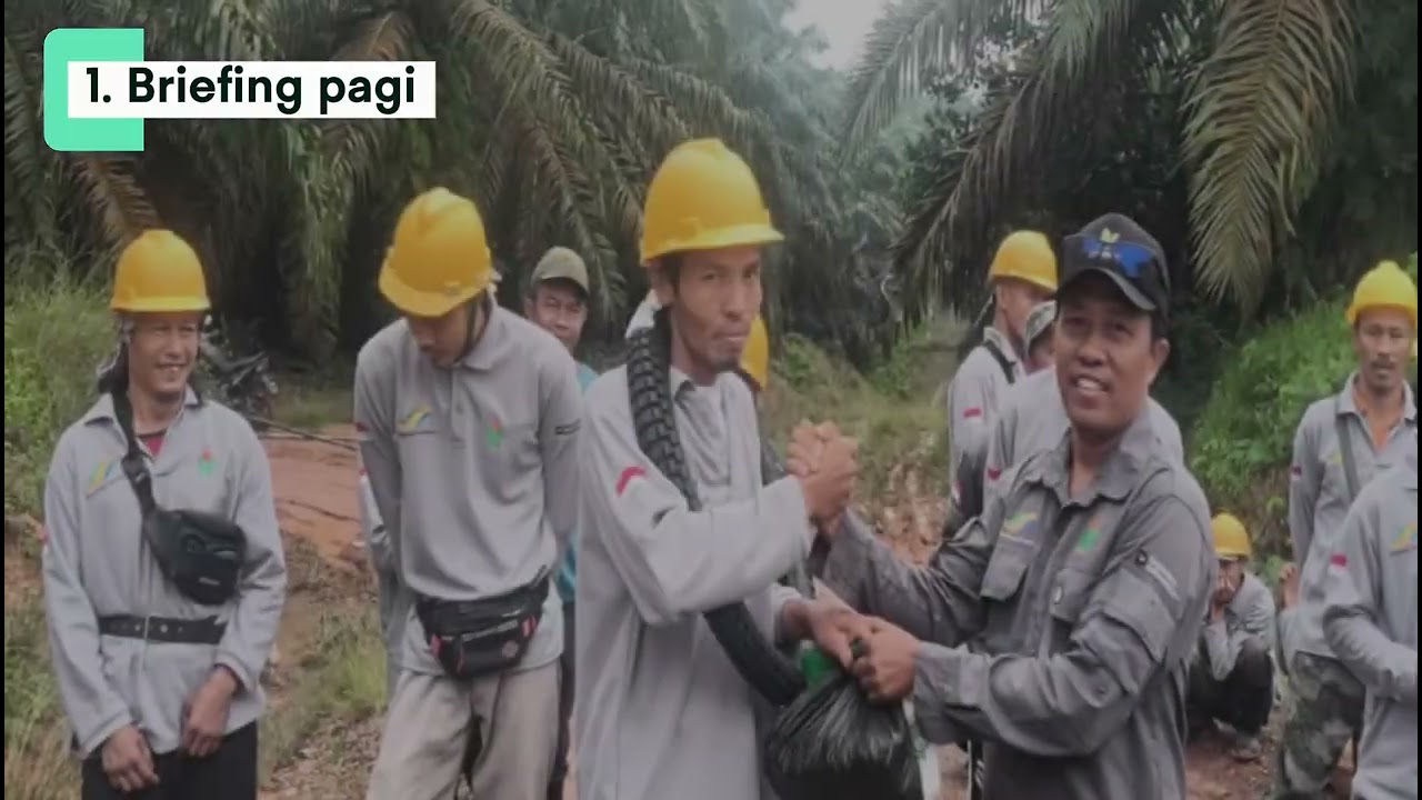 Manajemen fungsional