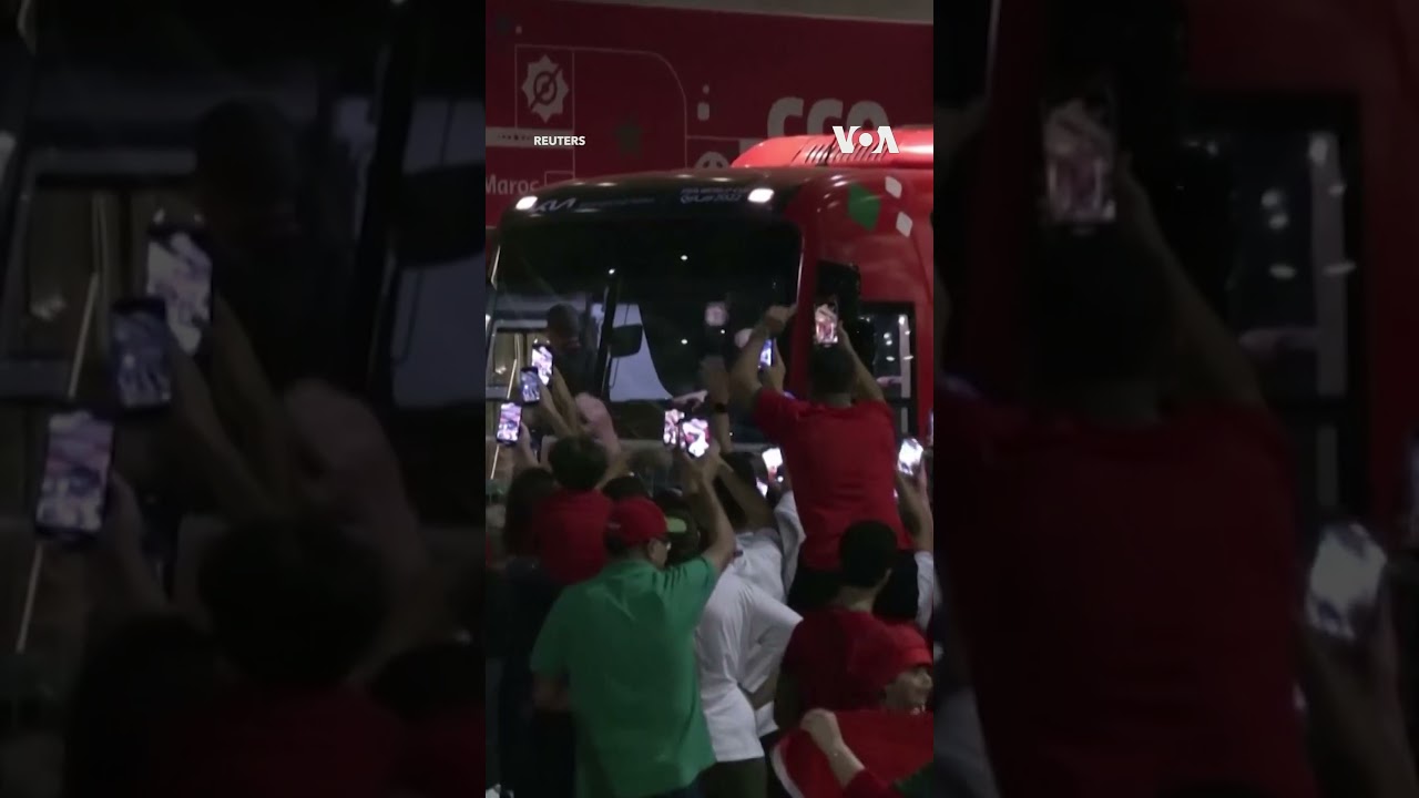 Cheering Fans Greet Moroccan Team at Their Hotel #shorts | VOA News