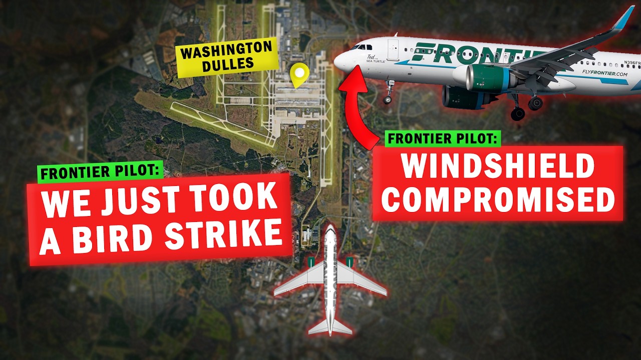 Frontier Airbus has BIRD STRIKE Before Landing | Windshield Damaged