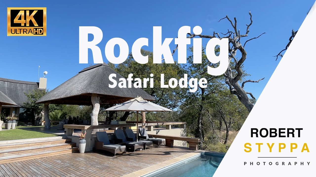 ROCKFIG SAFARI LODGE (SOUTH AFRICA): Rockfig Safari Lodge - Timbavati's Luxury 5* Safari Offering