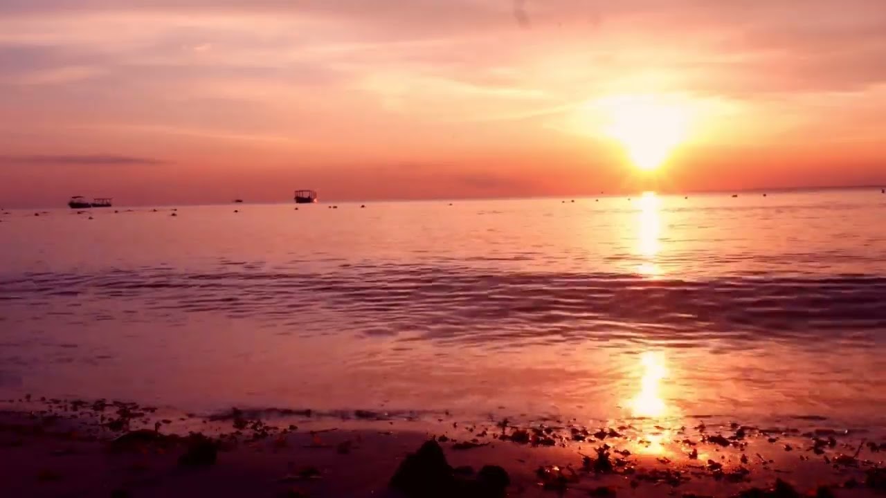 FREE◄ Reggae Instrumental MIX 13 minutes nonstop