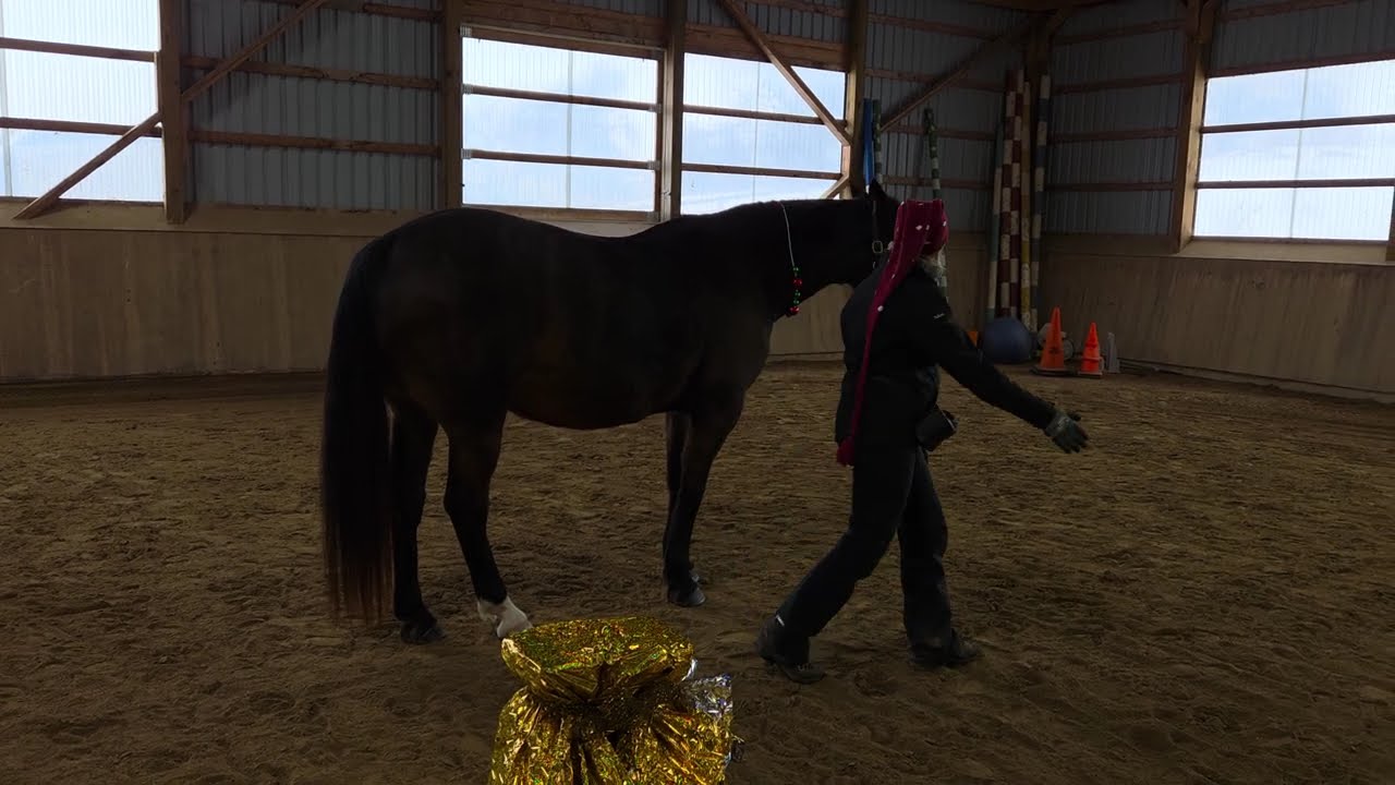 Prince Advanced wo December 2025