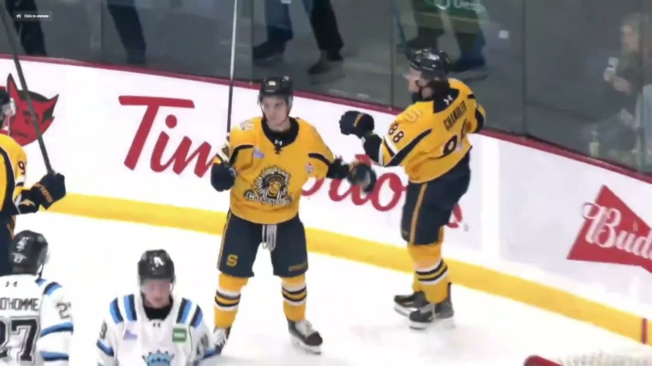 Bruins prospects highlights week 14 (Dec 8th-27th)