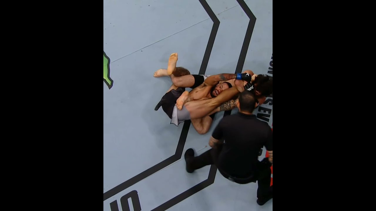 #Shorts Zabit Magomedsharipov UFC 228:Понравилось видео?!Поставь лайк! И поДпишись!
