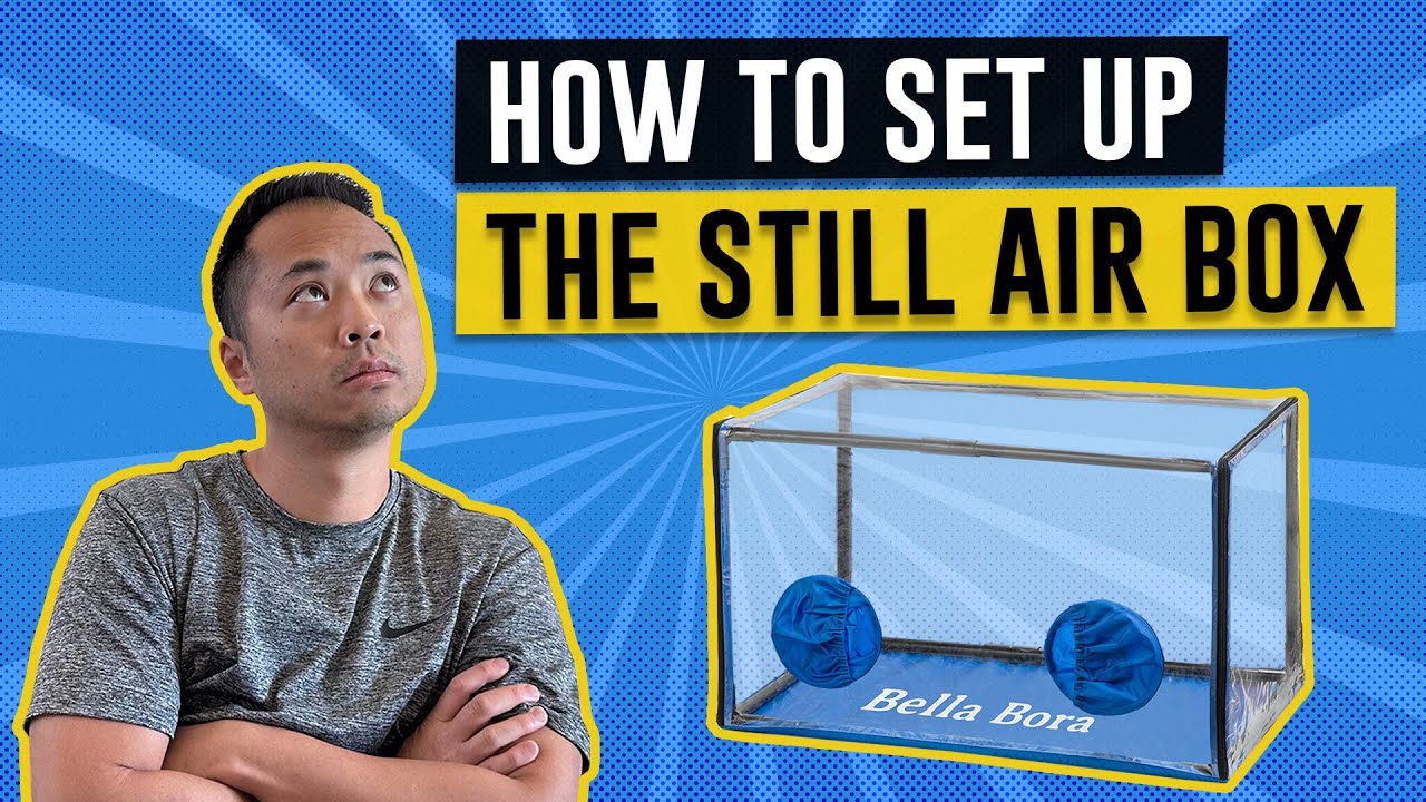 How to Use Bella Bora Still Air Box for Mushroom Cultivation at Home