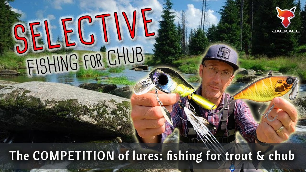 Selective CHUB FISHING on trout river with Micro Tappy and TN Trigon | Lure fishing for beginners