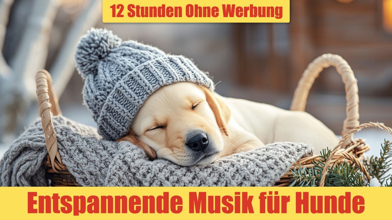 Entspannungsmusik für Hunde - 12 Stunden Ohne Werbung | Musik gegen Trennungsangst_vol.17