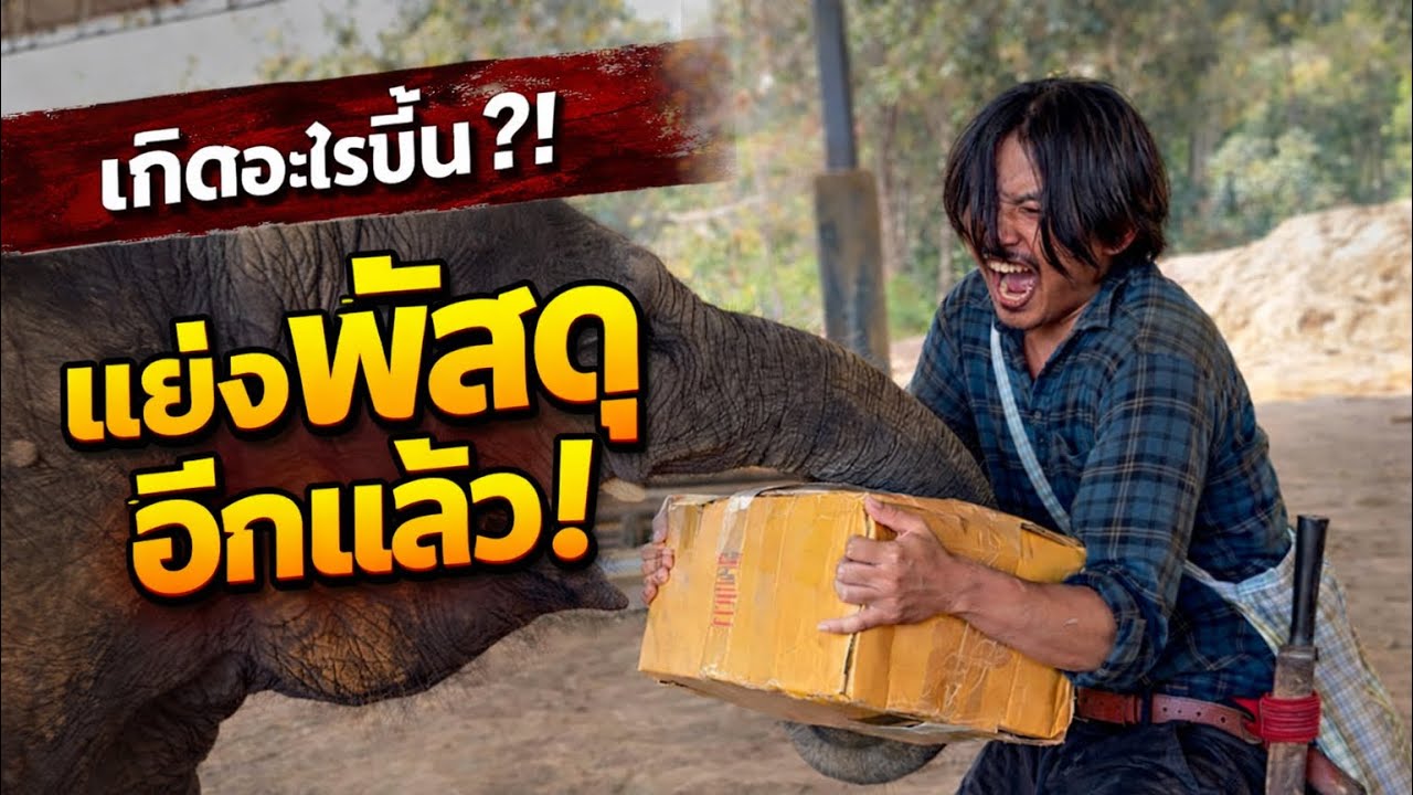 ดราม่าพัสดุ! จูเนียร์ดีใจเก้อ ของมีแต่พ่อจ๋า