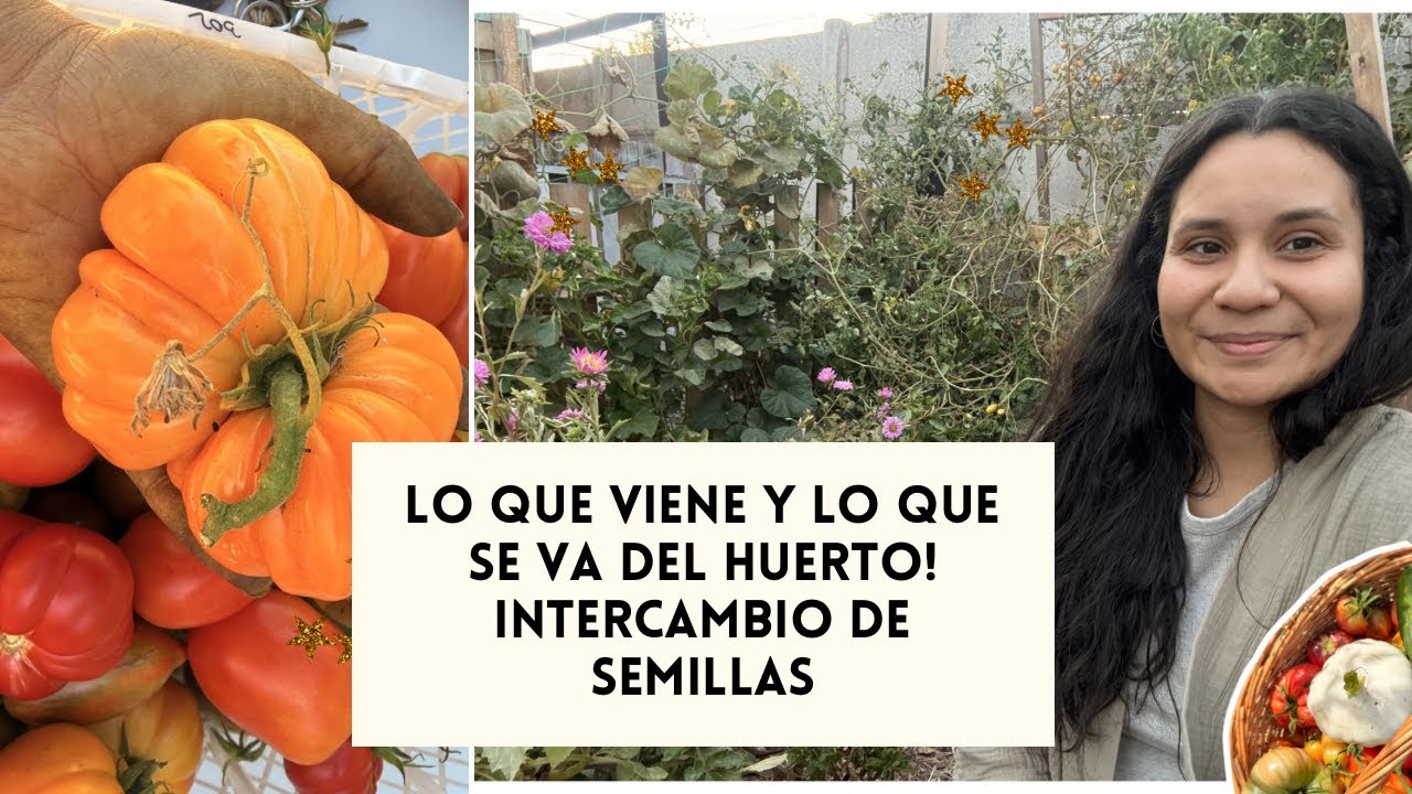 Lo que viene y lo que se va del huerto! Intercambio de semillas 🌿💚🌸