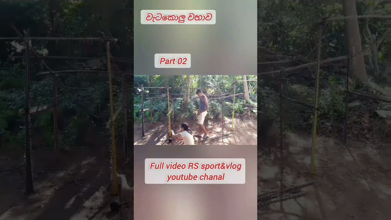 part 13 - වැටකොලු වහාව 2 - වැටකොලු මැස්සක් හදමුත