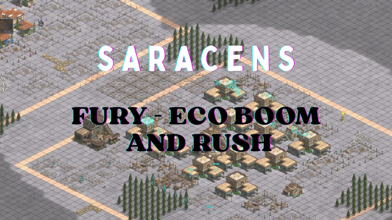 SARACENS with L@@K & cartunesots | DM Michi | AoE2 DE