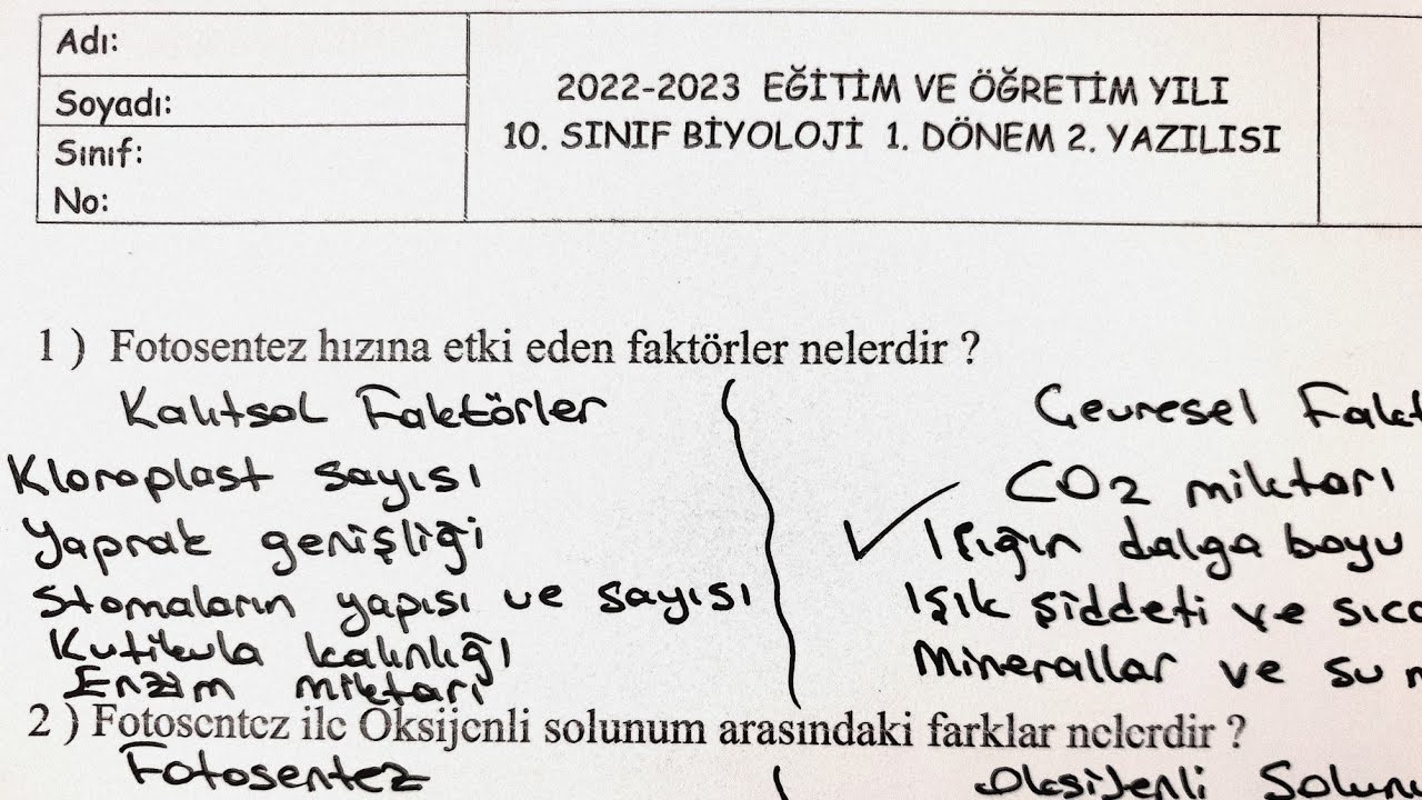 10.Sınıf Biyoloji 1.Dönem 2.Yazılı