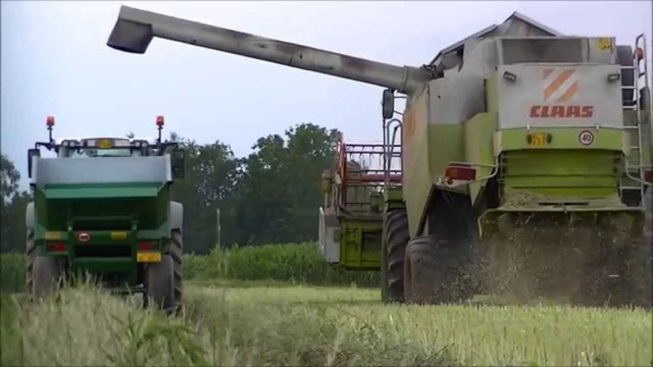 trebbiatura colza 2015 - lexion 430 - fendt 514