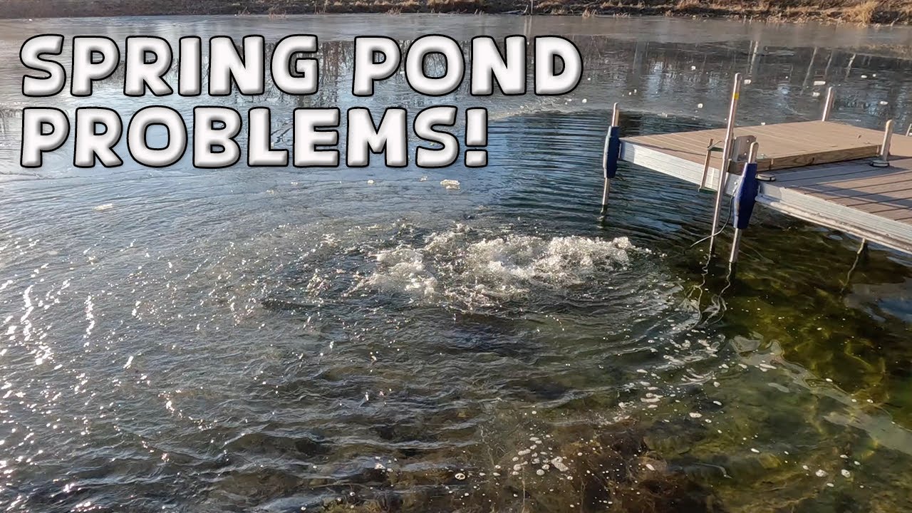 Early Spring on the Pond Spells TROUBLE - How to Create a River Current on a Small Pond