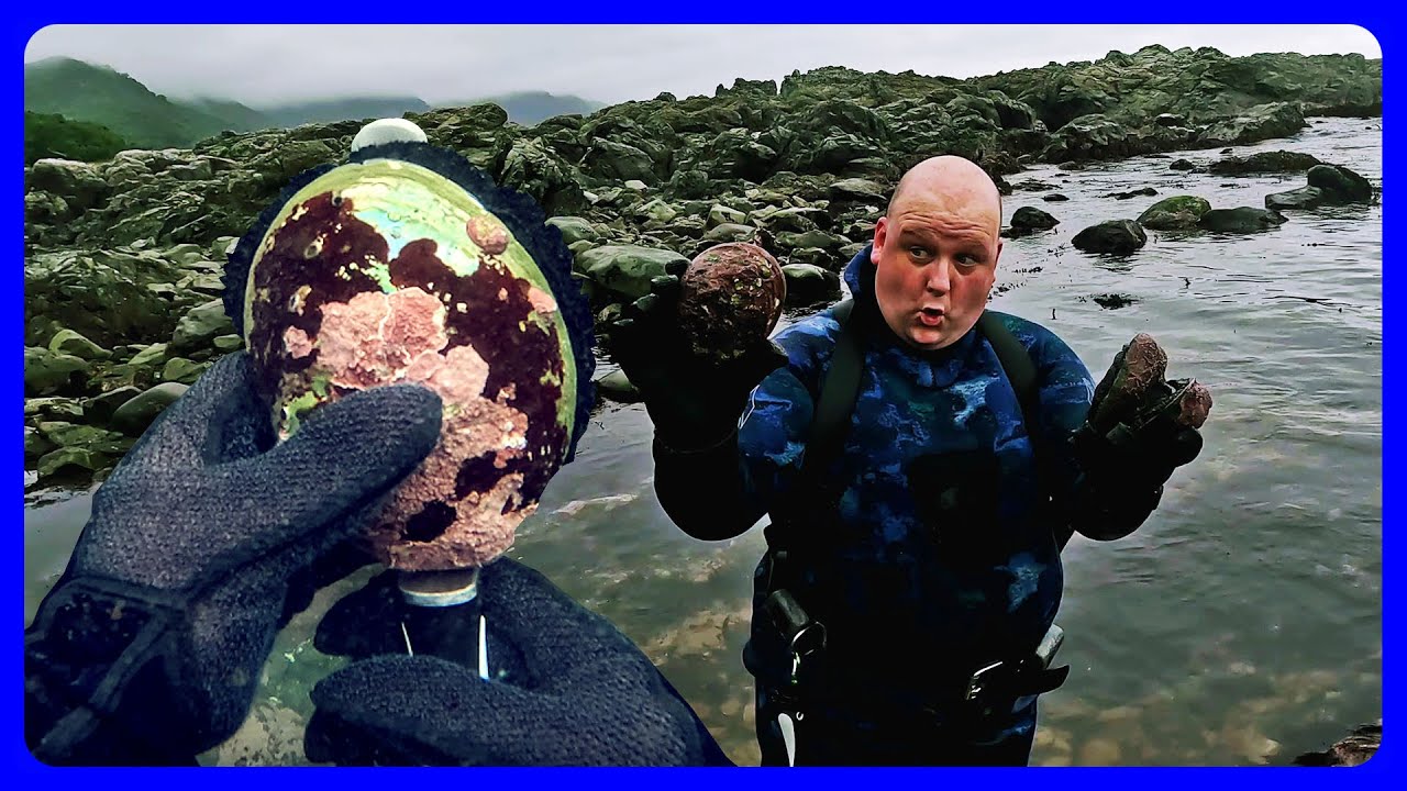 Найден БОЛЬШОЙ Пауа во 2-М СЕЗОНЕ ПАУА в Кайкоуре [4K]