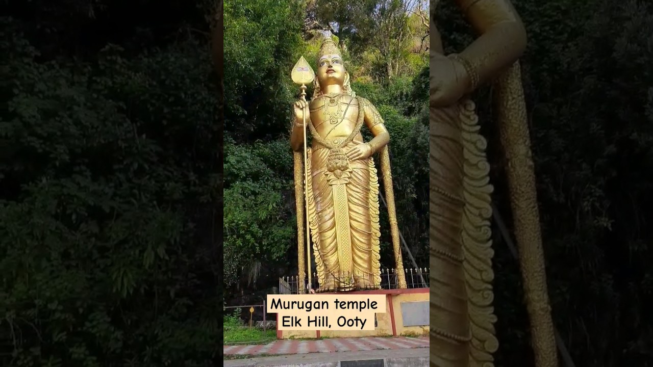 Murugan temple, Elk Hill, Ooty  #murugantemple#muruga#ooty#youtubeshorts#odiablogger