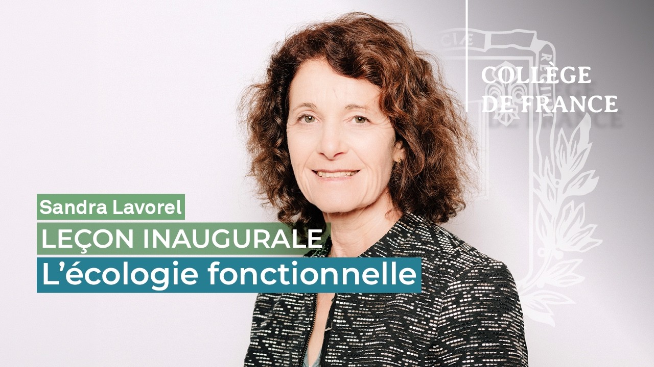 L&rsquo;&eacute;cologie fonctionnelle - Sandra Lavorel (2026)