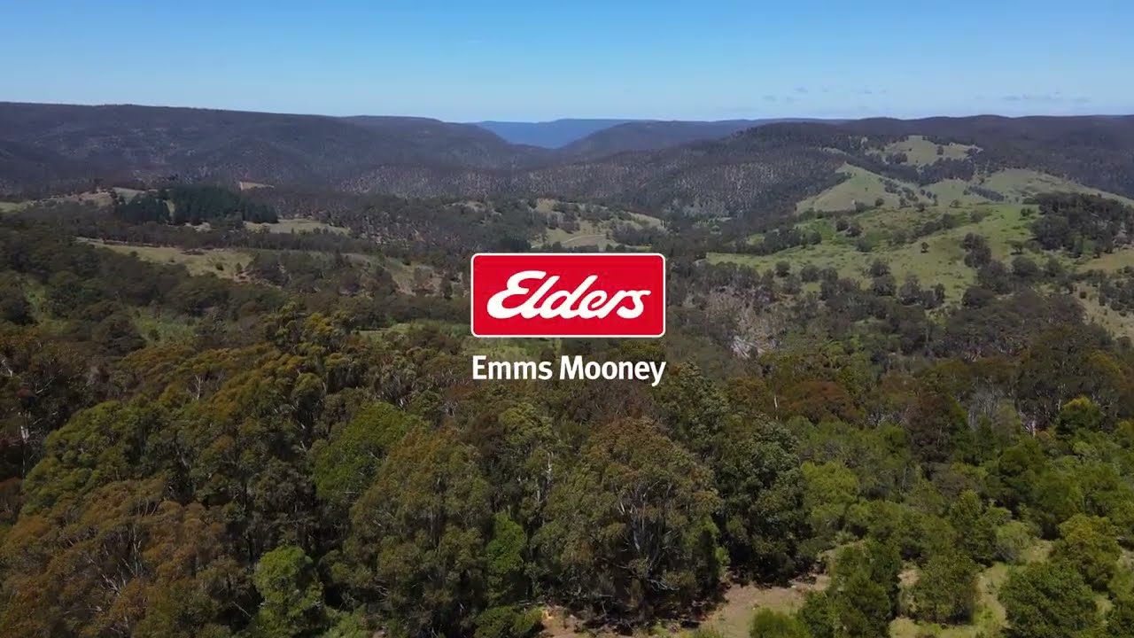 Elders Emms Mooney - 363 Sheepstation Forest Road, Gingkin