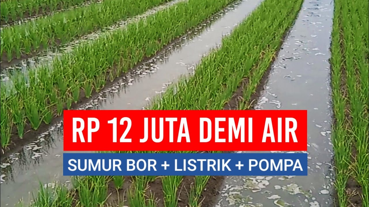 RP 12 JUTA DEMI AIR - Biaya Pembuatan Sumur Bor, Pasang Listrik PLN dan Pompa Sibel